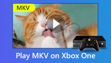 Xbox OneでMKV動画ファイルを再生する