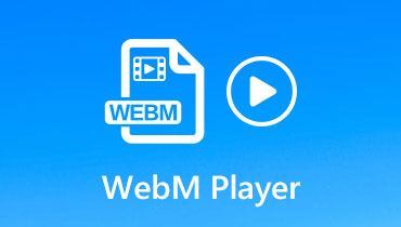 WebMプレーヤー