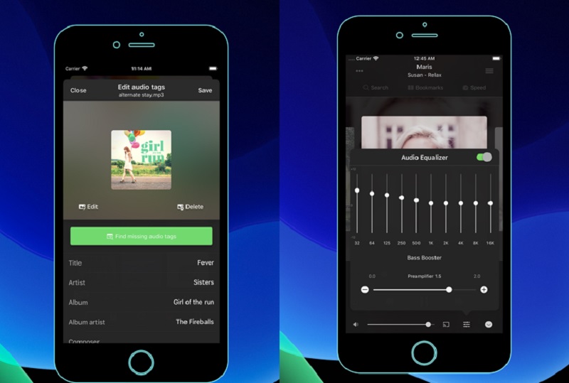 Evermusic で WMA メタデータを編集