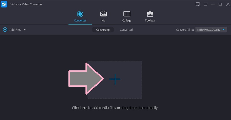 VidmoreでAC3ファイルを追加