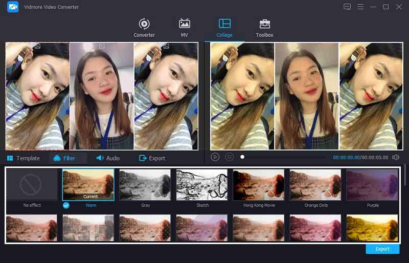 Vidmore フィルターを選択