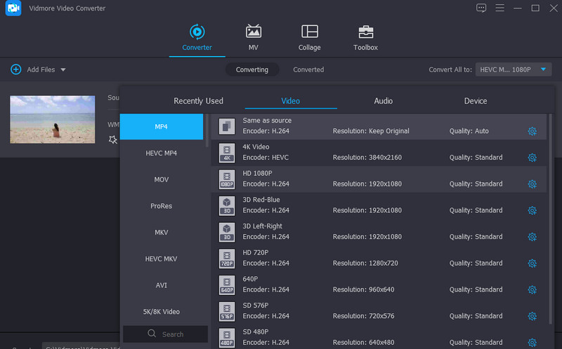 Vidmore 機能 対応動画形式