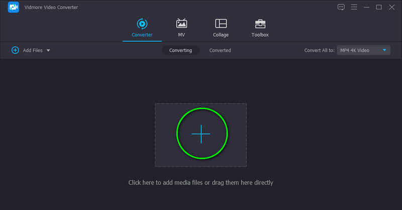 Vidmore 動画インポート