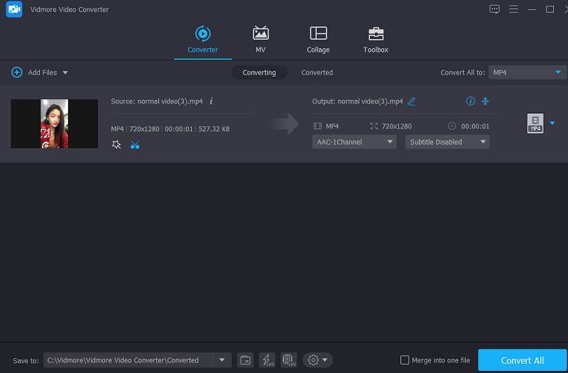 Vidmore で動画を変換する