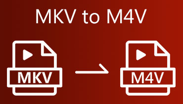 MKVをM4Vに変換