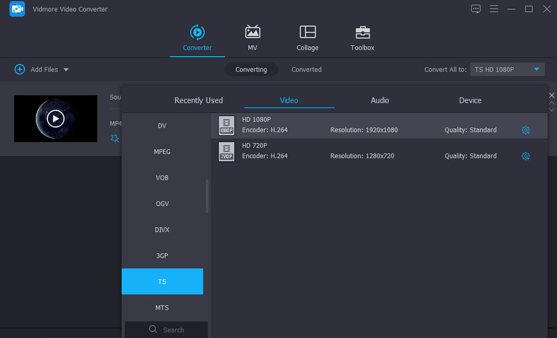 フォーマットを選択 Vidmore