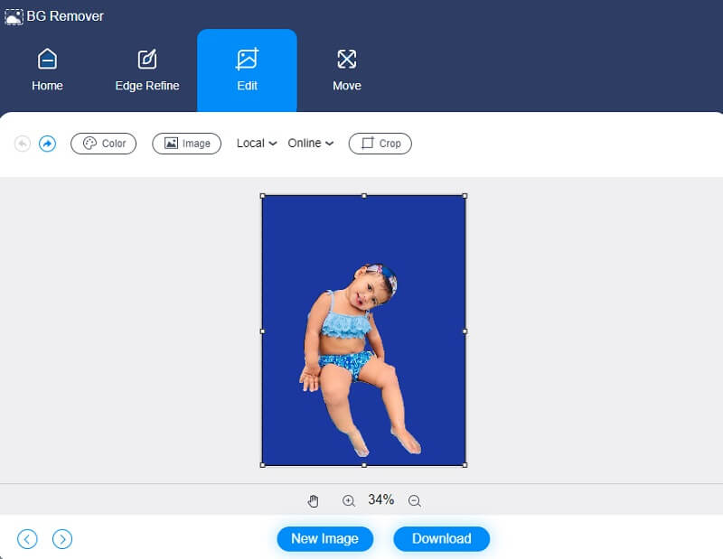 Vidmore Background Remover で背景を選択
