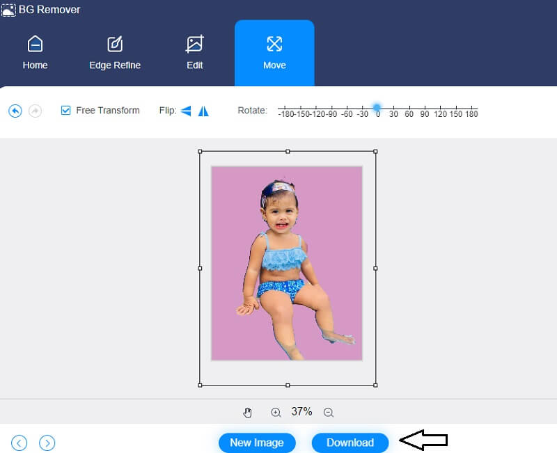 Vidmore Background Remover ダウンロード