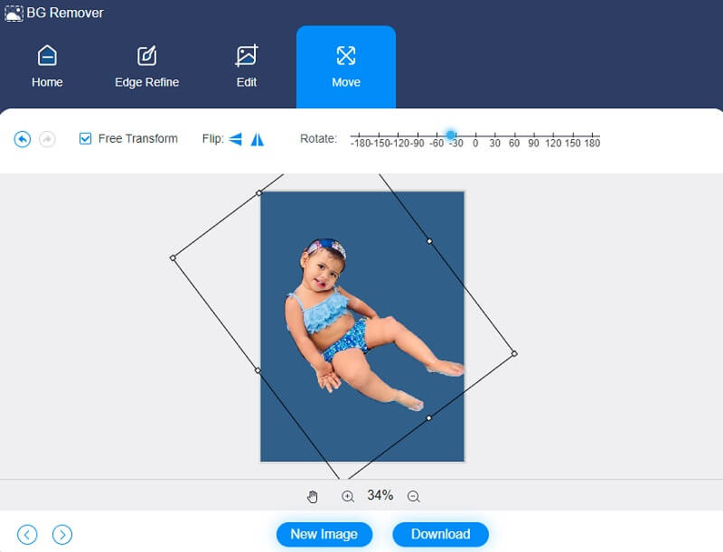 Vidmore Background Remover Online で反転