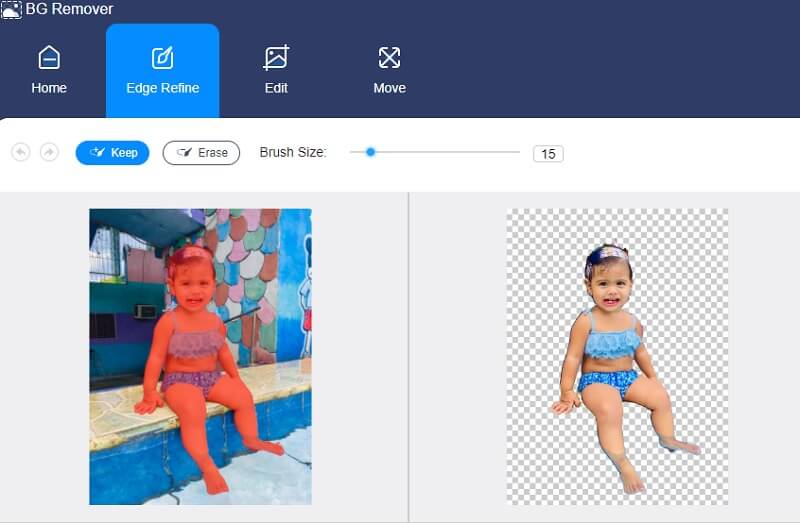 Vidmore Background Remover プレビュー