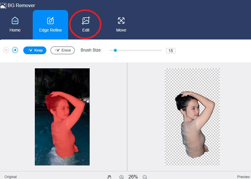 Vidmore Background Remover のプレビュー