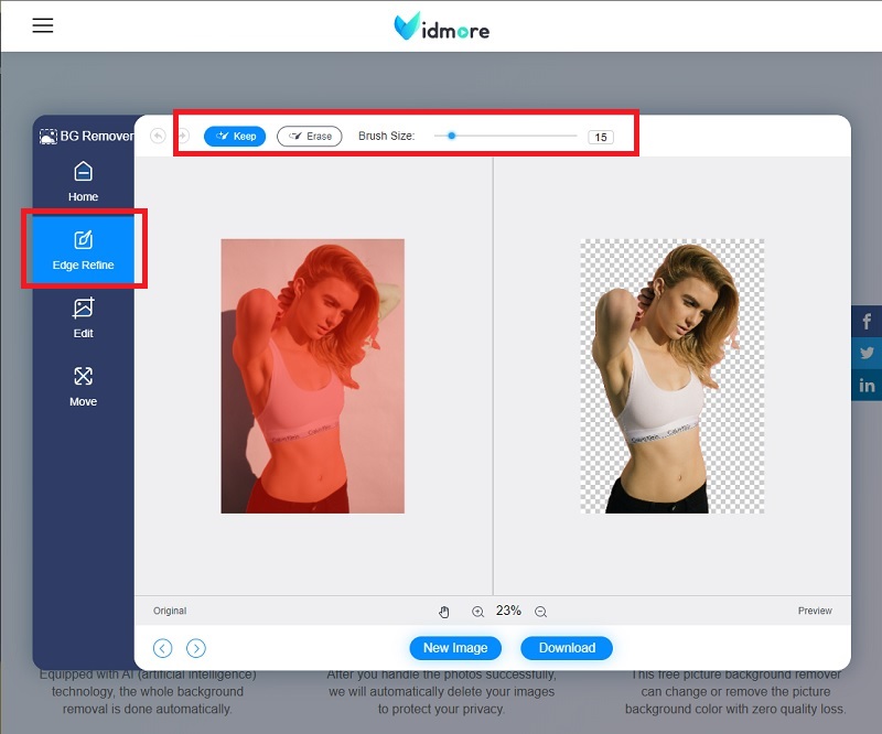 Vidmore Background Remover を調整