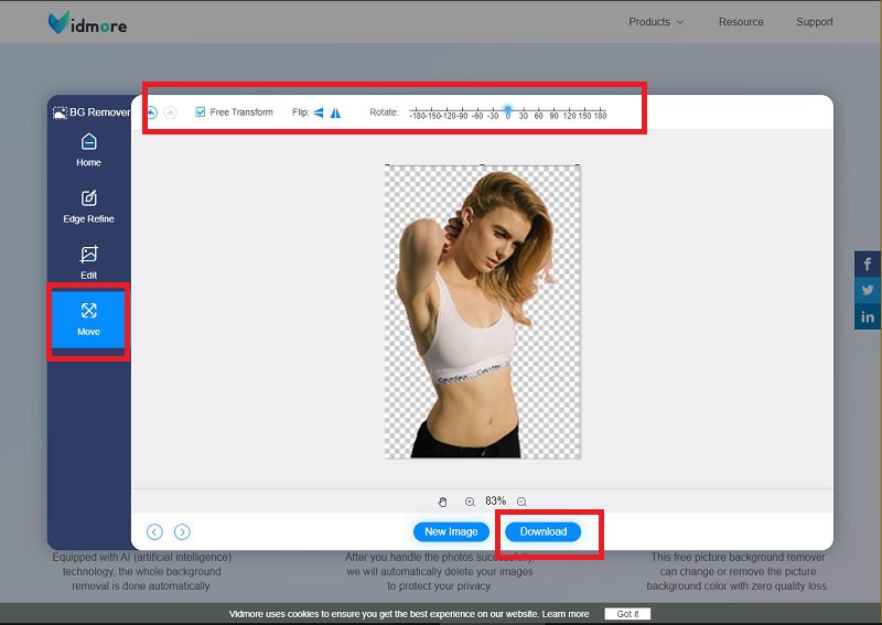 Vidmore Background Remover を保存