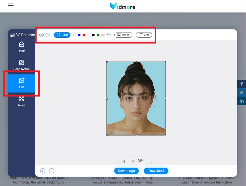 Vidmore 背景変更画面