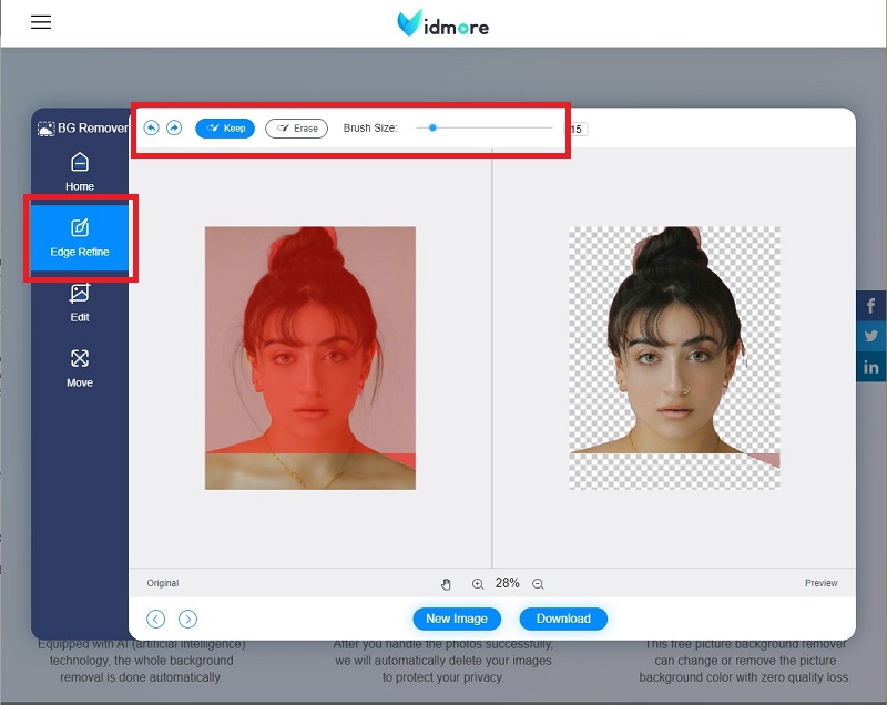 Vidmore 画像処理画面