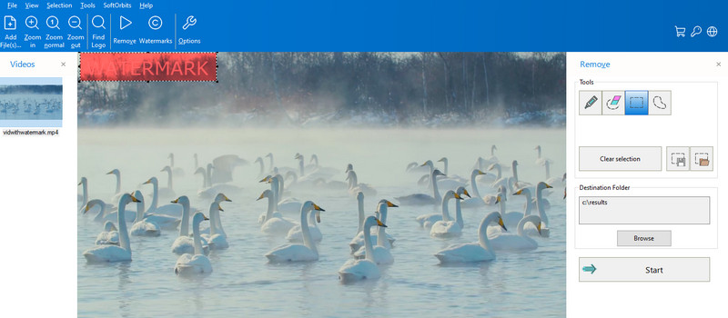 Remove the Logo Now を使って削除