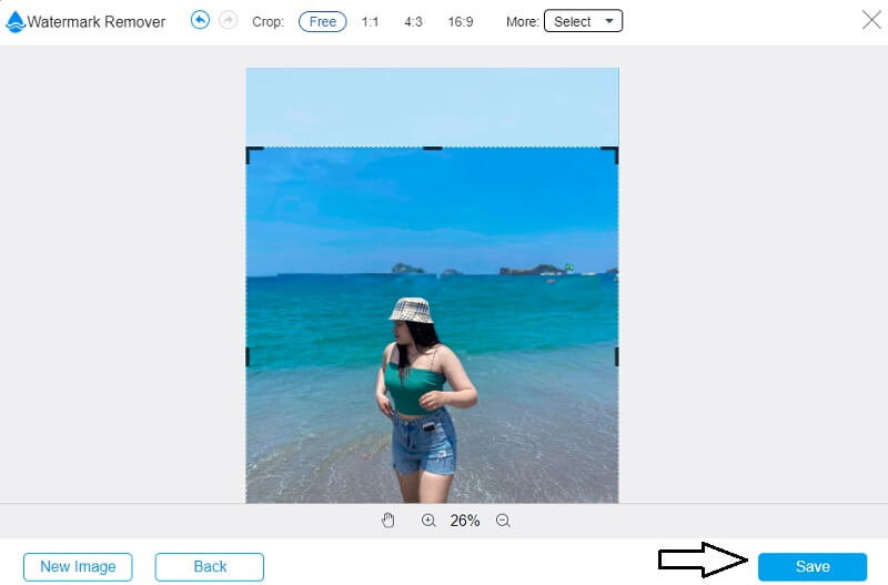 画像を保存 Vidmore