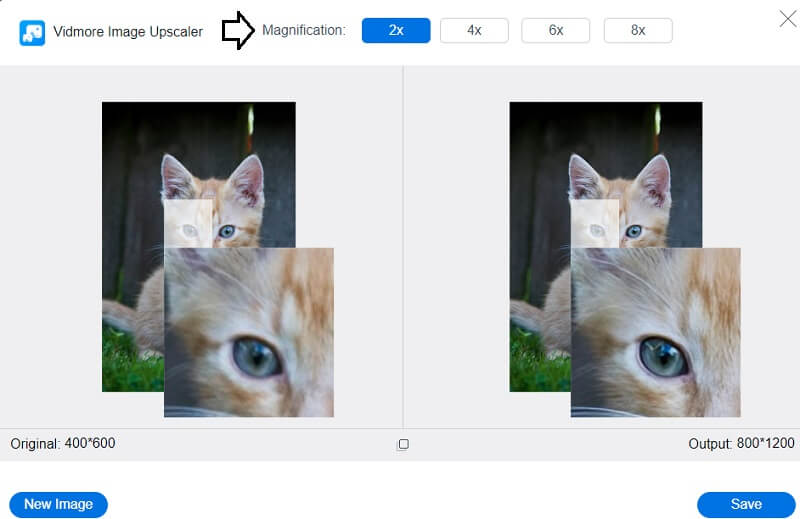 拡大の選択 Vidmore