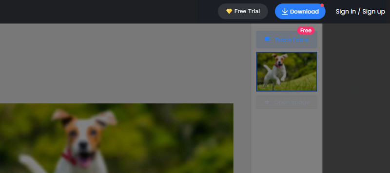 写真をダウンロード