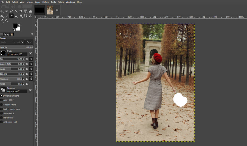 GIMP エディター