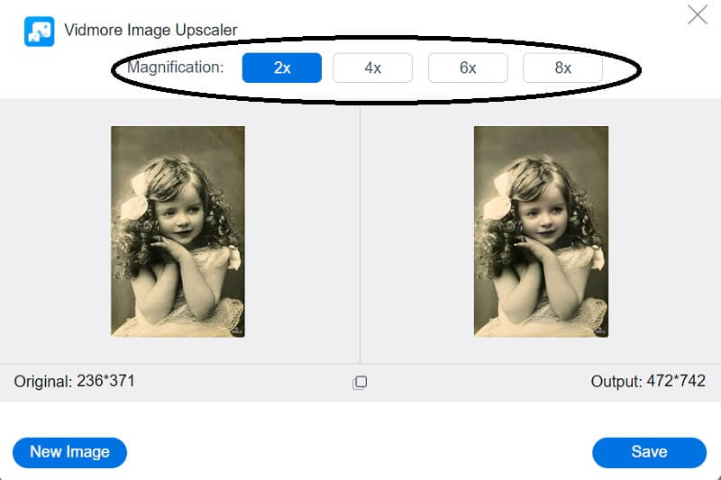 画像を拡大 Vidmore