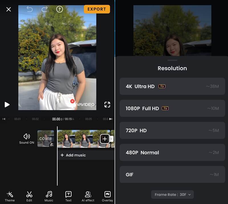 VivaVideo のウォーターマークを削除 VivaVideo