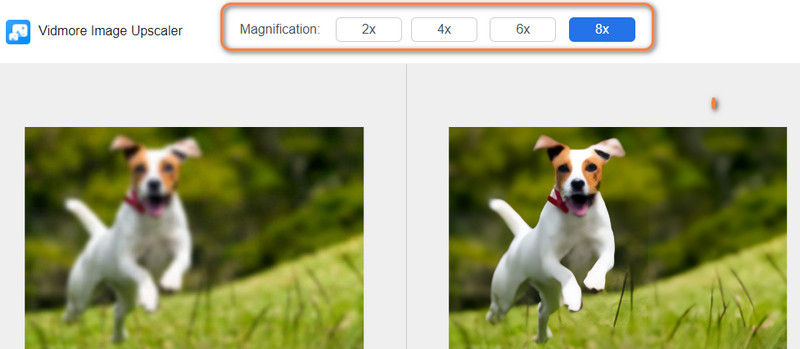 拡大倍率を選択