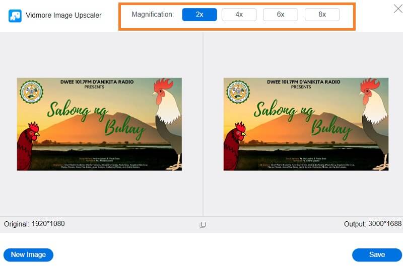 Vidmore で拡大率を設定