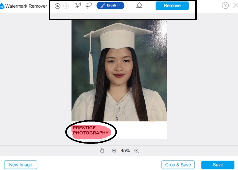 Vidmore でウォーターマークを削除