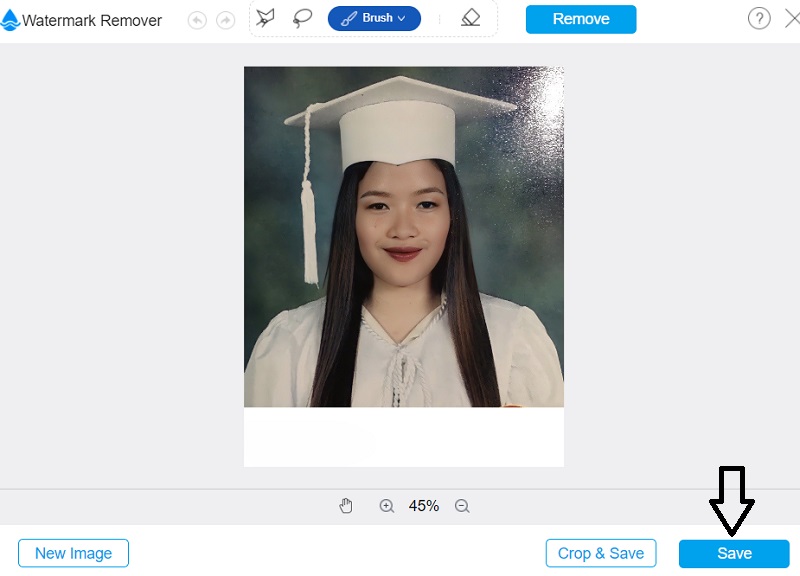 Vidmore で画像を保存