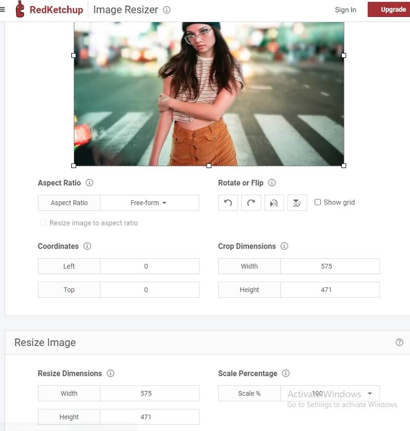 GIFをRedKetchupで拡大