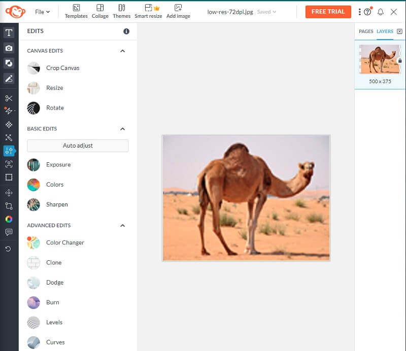 Remove Blur PicMonkey（PicMonkey でぼやけを除去）