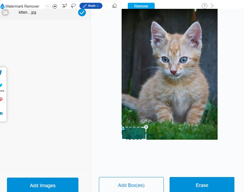 Remove Watermark Apowersoft