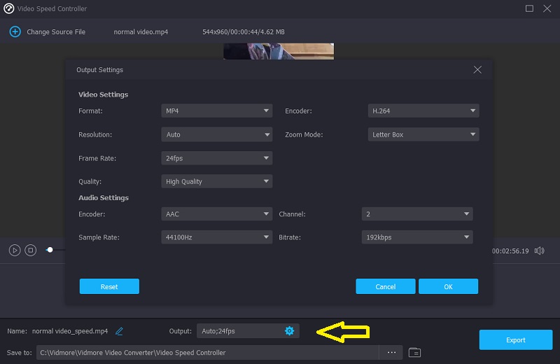 Vidmore の出力を選択