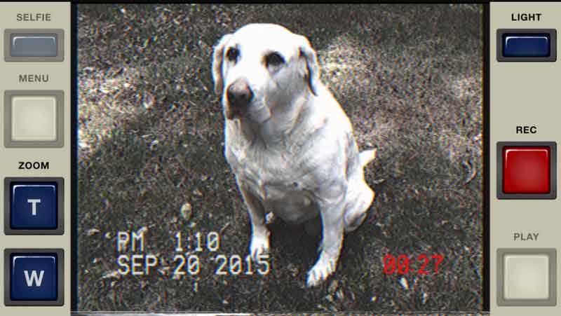 VHS 動画フィルターアプリ