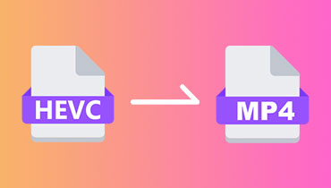 HEVC を MP4 に変換