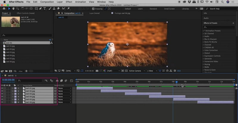 After Effects Premiere　WindowsとMacでスライドショーを作成する方法
