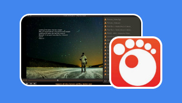 GOM Player レビュー