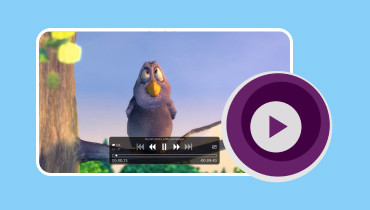 MPV プレーヤー レビュー