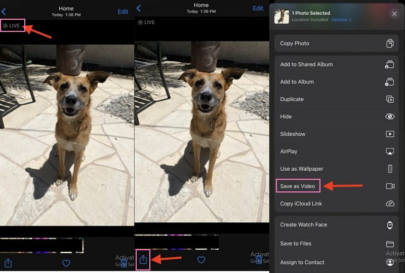 Liveフォトを動画にする方法