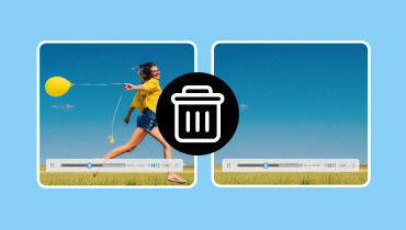 動画からオブジェクトを消す