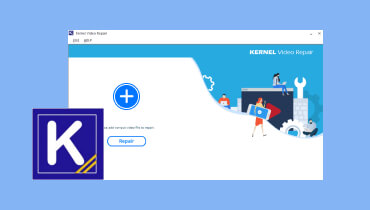 Kernel Video Repair のレビュー