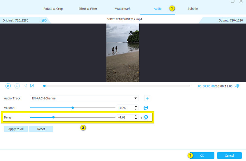 音声遅延 Vidmore 設定