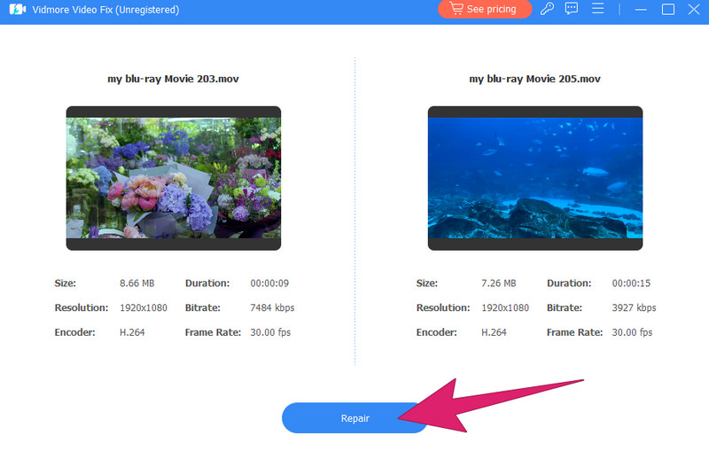 Vidmore Video Fix 動画修復