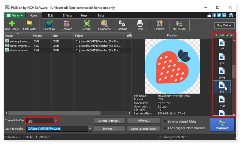 Pixillion 出力形式の選択