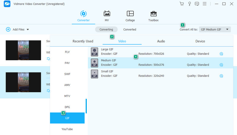 WEBM GIF コンバーター Vidmore 設定