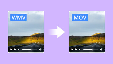 WMV を MOV に変換