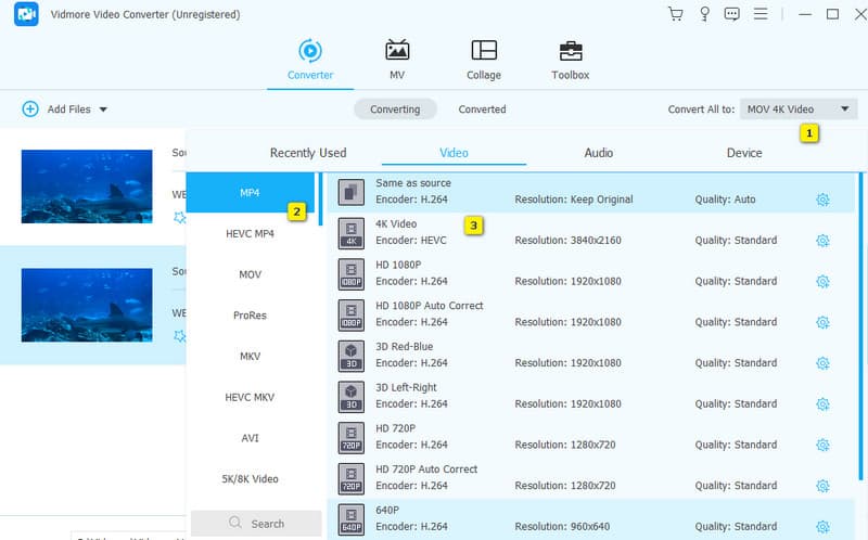 WebM Converter Vidmore 設定
