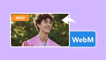 WebM から MOV へ変換