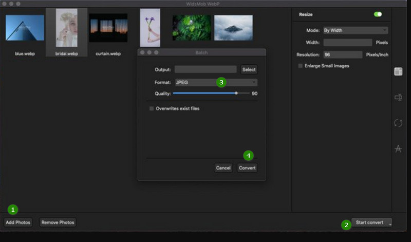 WidsMob で WebP を JPG に変換